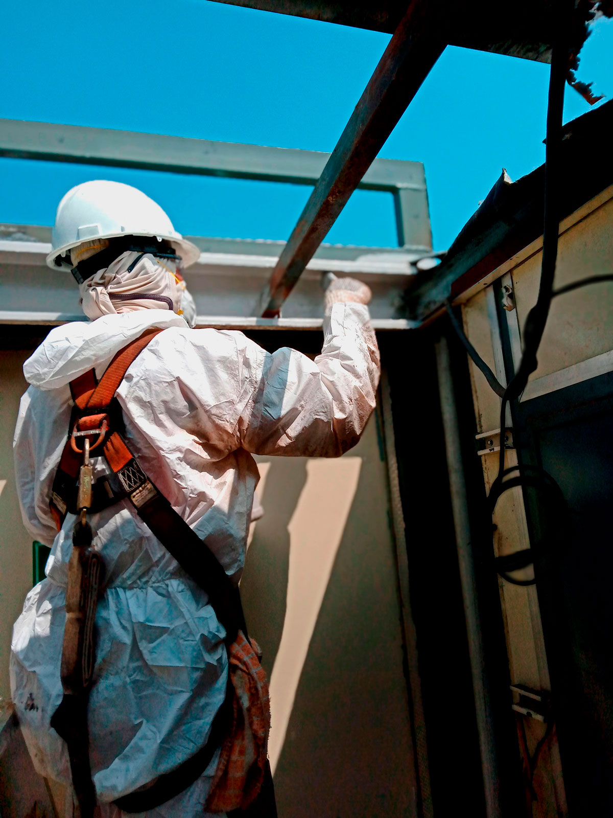 Servicios de construcción profesional